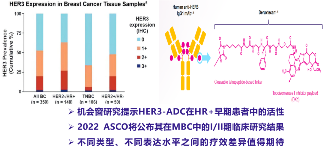 齐晓伟教授：2022年 ESMO BC早期乳腺癌研究荟萃与解读思考-肿瘤瞭望