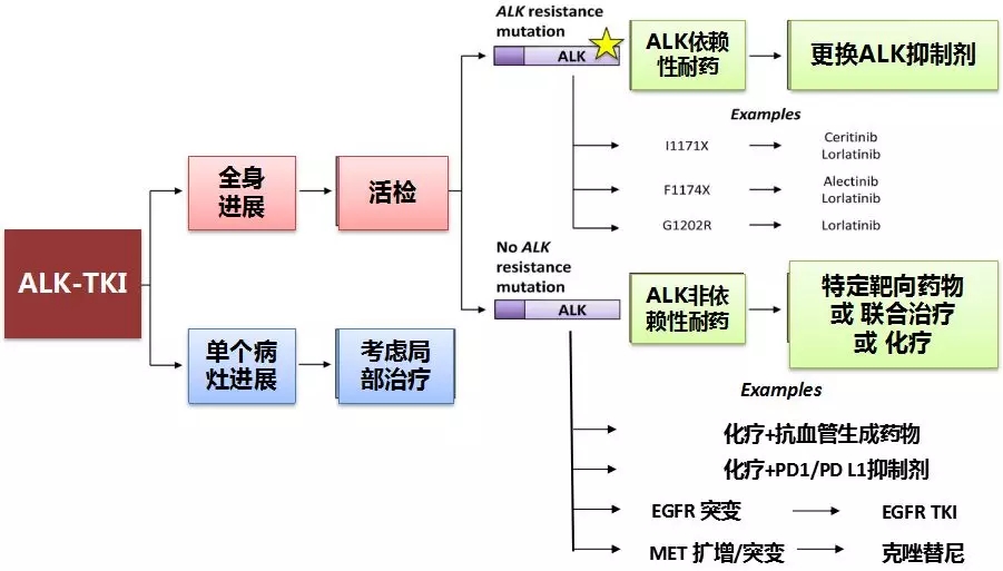 CSCO长白肿瘤高峰论坛丨刘晓晴教授：ALK阳性非小细胞肺癌治疗现状及思考-肿瘤瞭望